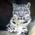 Christine Pelkey's profile image