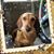 Melodie Staehnke's profile image