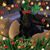 Candice Lynette Whitehead's profile image