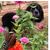 Lisa Kennedy Perkins's profile image