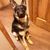 Julian Lee Pugh's profile image