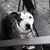 Kelly Newfield's profile image