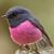 Liza Lopez's profile image