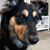 Teresa Cantwell Marshall's profile image
