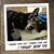 Carrie A. Geraci's profile image