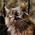 Casey Williamson's profile image