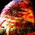 Julie Norton's profile image