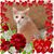 Susanne Fanelli's profile image