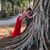 Serenity Risvik's profile image