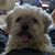 Jeanette Cammerata Umbel's profile image