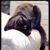 Pam Delrie's profile image