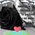 Marilelvia Duarte's profile image