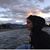 Kate Pace's profile image