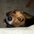 Benjamin Sweeny's profile image