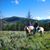 Lynne Stedman Richard's profile image