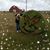 Terri Pharr's profile image