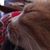 Tricia Young's profile image