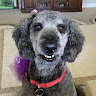 Cindy G.'s profile image