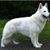 Judy Comeno's profile image