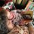 Sharon Griffitts's profile image