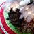 Mary Ann Miller's profile image