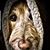 Annette Craver's profile image