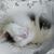 Beverley Hildreth's profile image