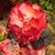 Lynda Anne Mallery's profile image