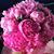 Christine Lagcao's profile image