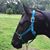 Ann Leverty's profile image