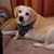Cindy Titel Love's profile image