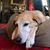 Jacqueline Klima Craddock's profile image