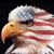 Terressa Young's profile image