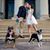 Meagan Adamo Dunscombe's profile image