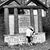 Sherry Hart's profile image