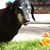Linda Alldredge's profile image