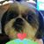 Penelope Tyler's profile image