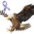 Tina Nelson's profile image