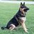 Carol Rankin's profile image
