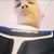 Johnny Diaz's profile image