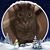 Sandra Walker's profile image