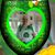 MaryAnne Vella Moeller's profile image