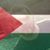 Haso Balkan's profile image