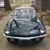 Rene Tryan-Bigford's profile image