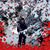 Karyn Anderson Miller's profile image