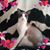 Pam Kent Cook's profile image