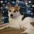 Deb Clark's profile image