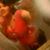 Kate Lozada's profile image