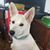 Ila Campeau's profile image