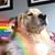 Sabrina M Feenstra's profile image